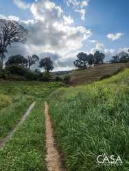 Open countryside with hills pasture and agriculture near La Amistad park Panama