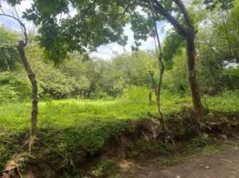 Vacant wooded lot with dense greenery and mature trees under a cloudy sky in rural Panama