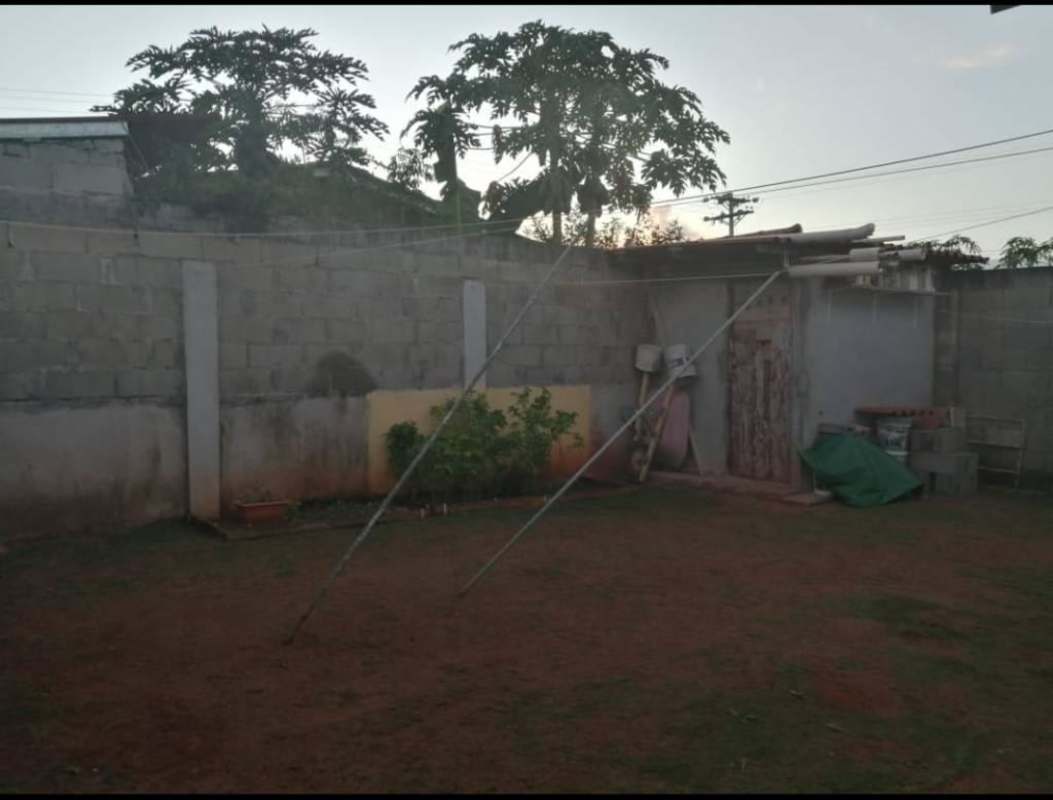 Backyard with concrete wall shed and garden Villa Verona house Panama 24 de Diciembre