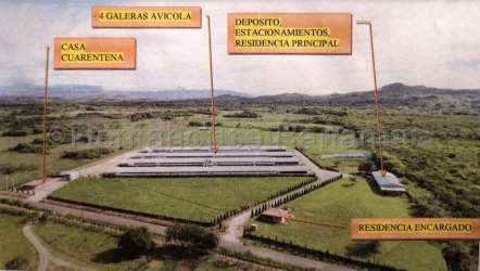 Warehouse and storage area within large poultry production farm in Panama