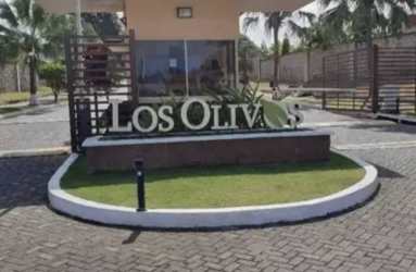 Gated guarded entrance to Los Olivos at Residencial La Arboledas Costa Verde Panama City