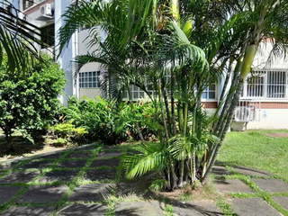 Apartment for Rent in Juan Diaz - 2 bedrooms