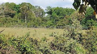 Land for Sale in Arraiján - 0 bedrooms