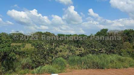 Flat 25,000 m² land with natural greenery, ideal for development in Arraiján Panama