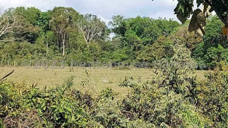 Natural landscape open land for housing project in Vista Alegre Panama