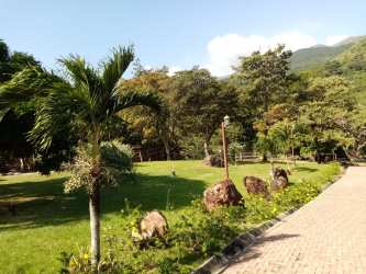 Tropical garden landscape with palm trees, lamp post, paved path and mountain view