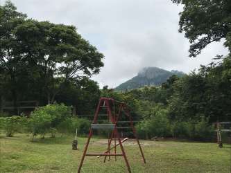Expansive grass lawn with young and mature trees in countryside fenced estate