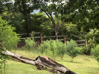 Grassy land with mature trees, panoramic mountain background on large lot