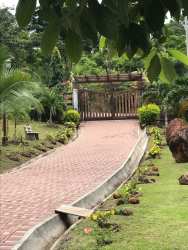 Brick paved driveway with lush tropical garden, palm trees and mountain backdrop
