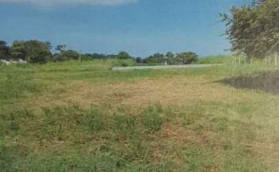 Flat grassy lot bordered by tree line near Pacific beach in Coronado Panama for sale