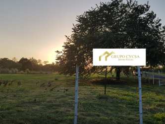 Open flat plot with mature trees and sale sign at sunset in Coronado Playa Serena Panama