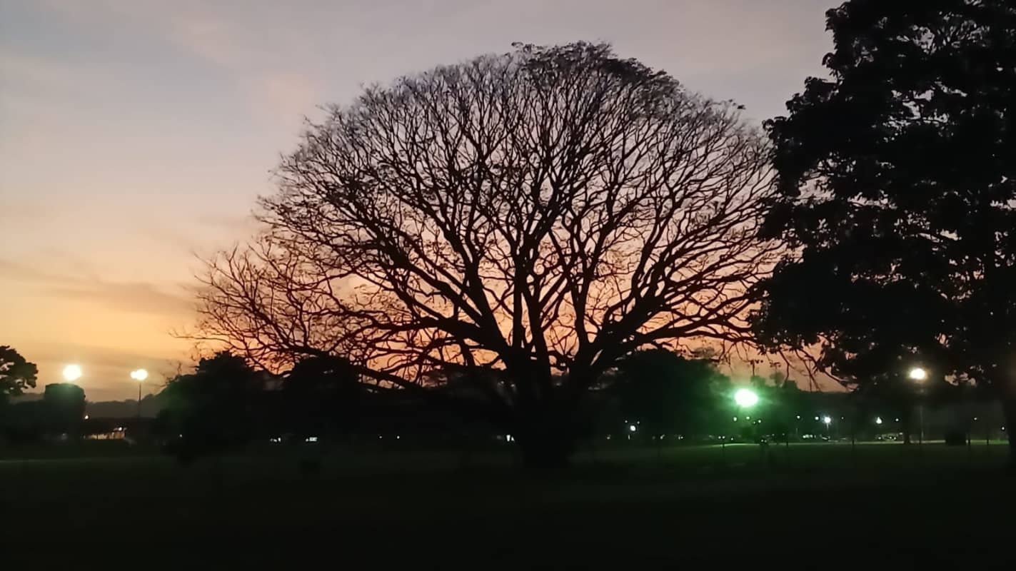 Evening view illuminated modern apartment building Ciudad del Saber Panama