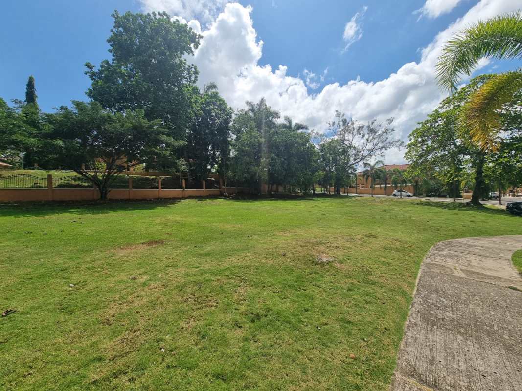 Mature trees shade sidewalk near lot for sale PH Clayton Village Clayton Panama