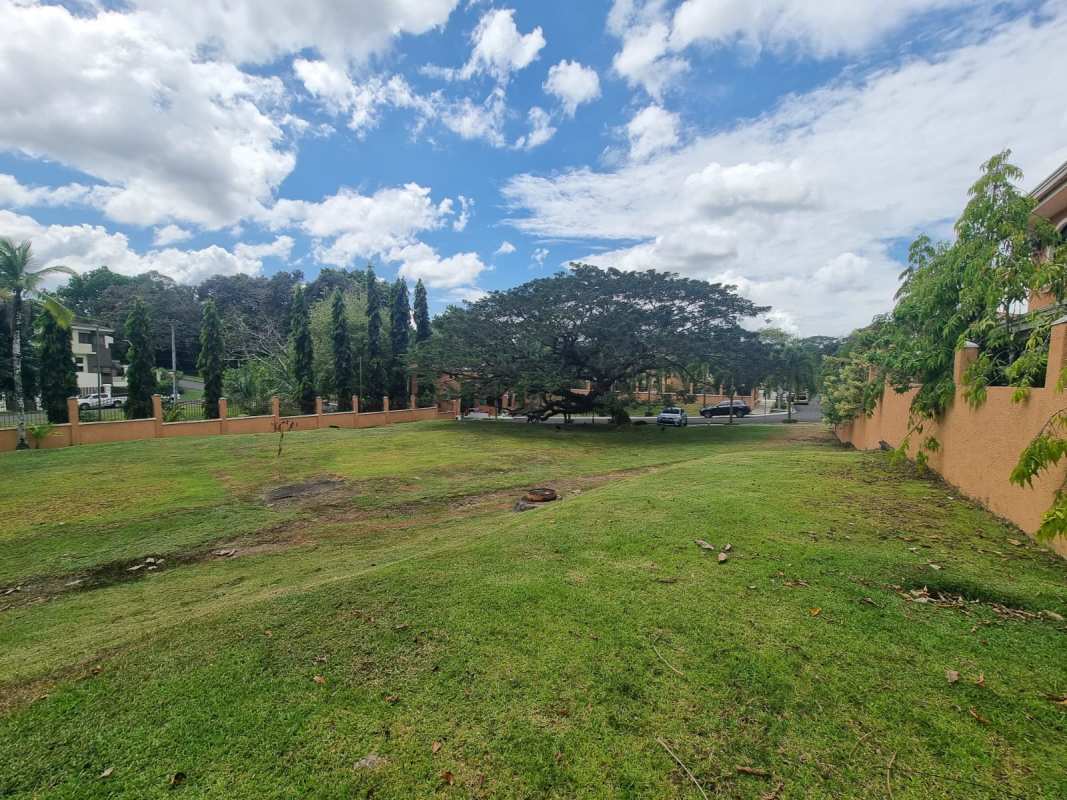 Spacious grassy land bordered by wall and mature trees in PH Clayton Village Panama