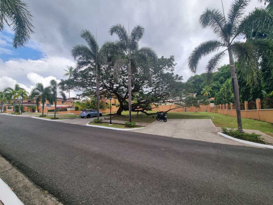 Gated residential street lined with palms, trees and sidewalks in PH Clayton Village Panama