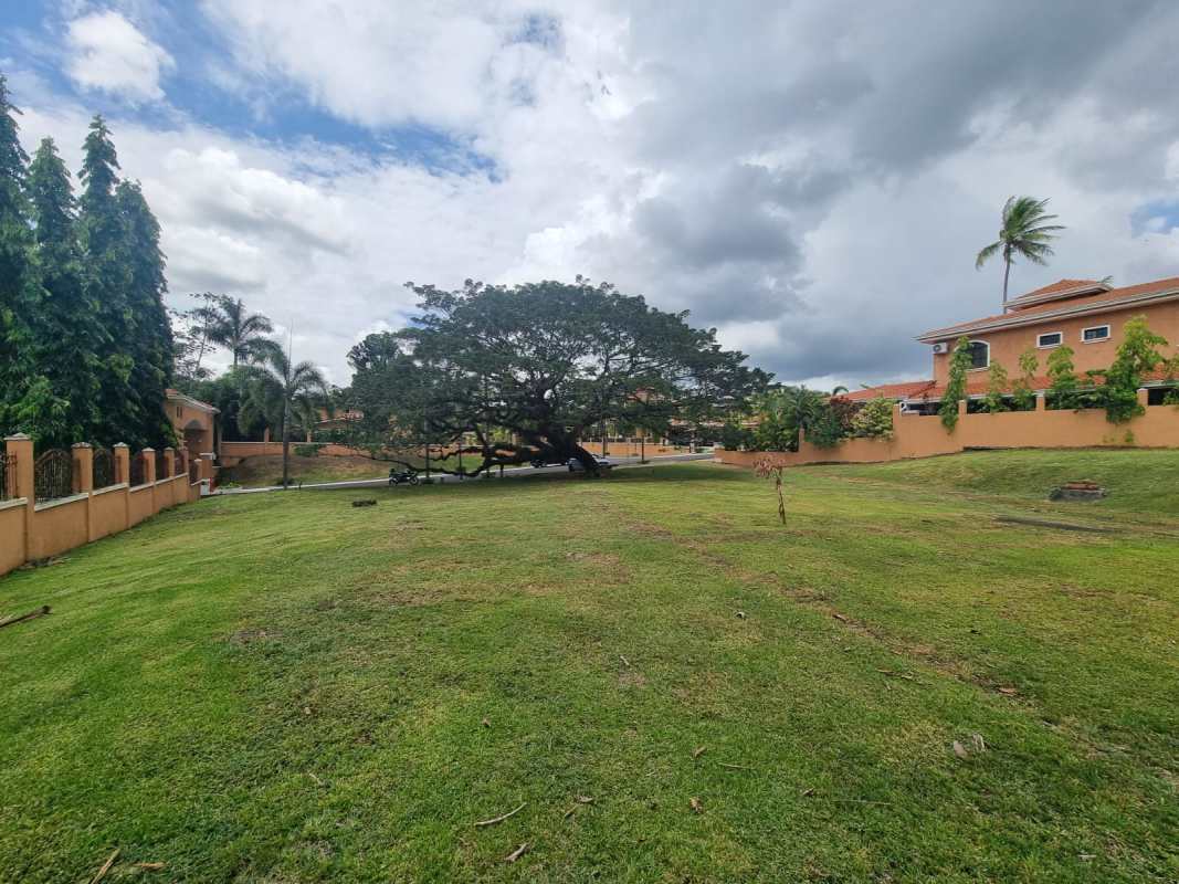 Flat titled land surrounded by trees and walls inside Clayton Village Panama City