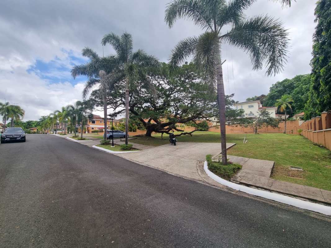 Tree-lined paved street inside gated PH Clayton Village with residential homes
