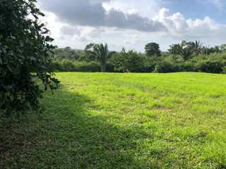 Land for Sale in Santa Rita - 0 bedrooms