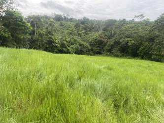 Open grassy land bordered by dense mature forest and mountain background Santa Rita Capira