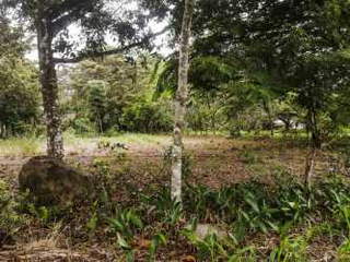 Land for Sale in Los Algarrobos - 0 bedrooms