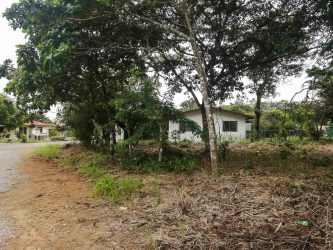 Small rural house surrounded by trees on large lot Los Algarrobos Dolega Panama