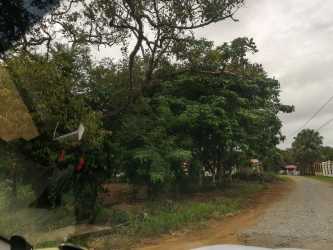 Natural greenery and gravel road near Los Algarrobos Dolega Chiriquí Panama