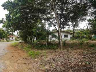 Countryside dirt road with trees and house lot Dolega Chiriquí Panama