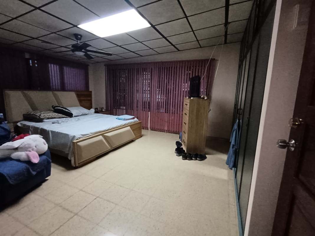 Green yard fenced side with garden plants suburban Panama house