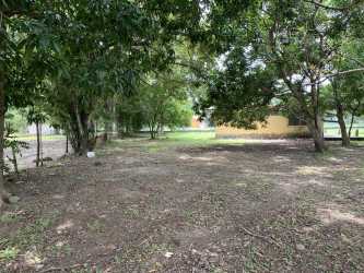 Open lot with mature shade trees and wire fencing in Nueva Gorgona Panamanian beach community