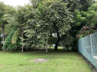 Spacious backyard with mature trees fence and greenery in Gorgona Panama