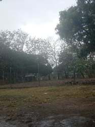Fenced open lot with trees in Coclé Penonomé El Coco Panama