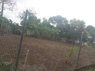 Flat fenced parcel of land El Coco Penonomé Coclé Panama