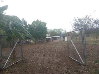 View of open fenced plot with trees Penonomé El Coco Panama