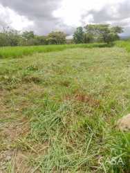 Expansive green field with mountain views in Potrerillos countryside 1 hectare lot