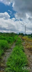 Stone fencing surrounds green rural property with mountain background in Chiriquí