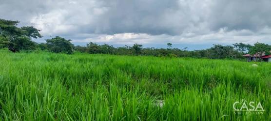 Fully fenced open green lot ideal for farming or residence in Las Acequias Potrerillos