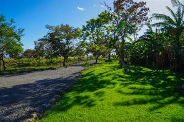Manicured gardens with driveway and trees Alto Boquete Panama property