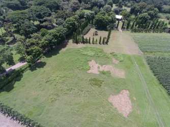 Aerial view over flat green development farm near beaches Río Hato Panama