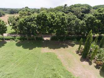 Flat farmland adjacent to main road ideal for development Río Hato Coclé