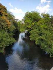 Land for Sale in La Pintada - 0 bedrooms