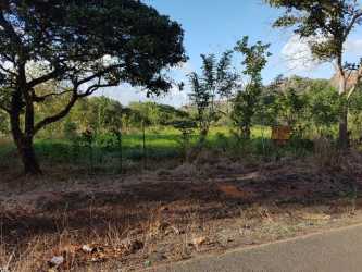 Vacant lot with natural vegetation, mountain backdrop, asphalt access road near Penonomé Panama