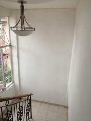 Tropical backyard with lawn, banana plants, and privacy wall in La Chorrera house sale