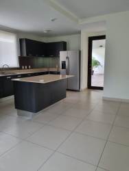 Kitchen with central island stainless steel appliances dark cabinetry PH River Valley Panama