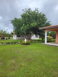 Simple bedroom with yellow walls, metal framed window and tiled floors in Gorgona Panama house