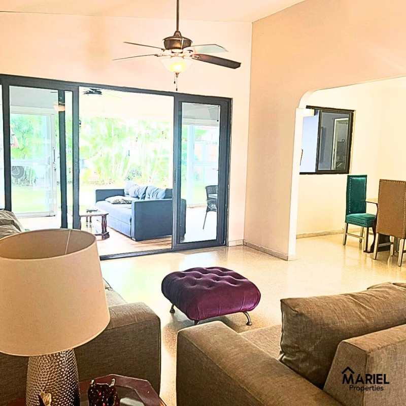 Palm trees, grill, concrete patio in backyard Lomas del Golf Panama