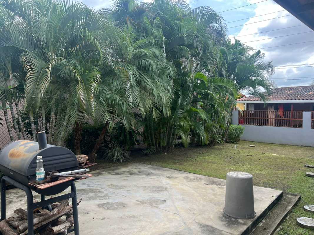 Contemporary dining room with glass table, upholstered chairs in Lomas del Golf Panama