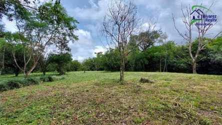 Open clearing with scattered trees on large land parcel in Potrerillo Abajo Chiriquí