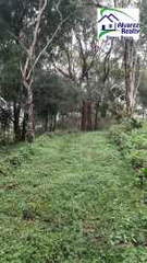 Land for Sale in Potrerillo Abajo - 0 bedrooms