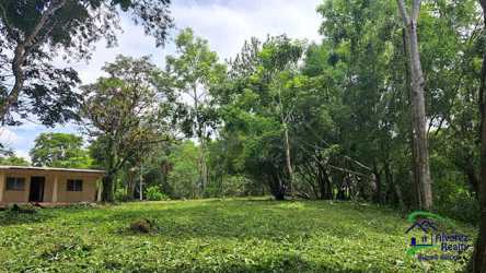 Cleared land with mature trees and small building structure on countryside lot Panama