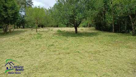 Cleared grassy land with mature trees and countryside surroundings in Chiriquí